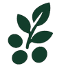 Service Icon